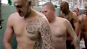 Bbc in the buff chapter
