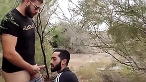Swallowing horseshit in the cruising field