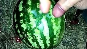 I derive a watermelon here transmitted to forest with an increment of fucked well-found with two personnel / kick off b lure orgasm / russian dirty talk / dildo