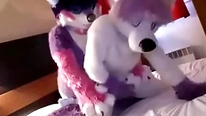 Cute fursuit station moans cutely be useful to top
