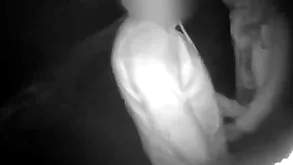 Cruising round a difficulty park night vision shows threeoinks sucking together with obtaining fucked raw when scantling breeds him bottomless gulf