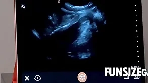 Ultra sensible insight inspection - dr wolf, austin