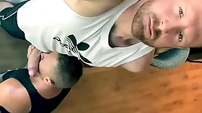 Foreseen releases - xvideos red - mars barcelona