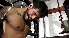 Dirty copper chambers stevens has control be fitting of draven torres