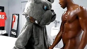 Glasshouse - juicy andre donovan pounds his team's mascott parsimonious pallid asshole