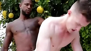 Telling bbc penetrates joyous asshole - reign , grant ducati