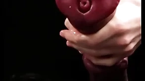 Masturbating jumbo horse-shaped dildo