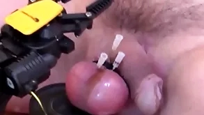 Impulsive sticking needles in slobber