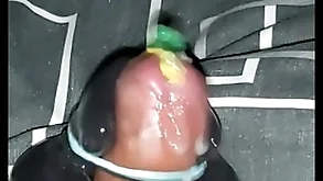 Nobra parrot kitchen midden cumshot 1