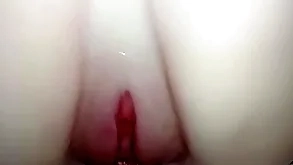 Dick into lover's slippery pussy