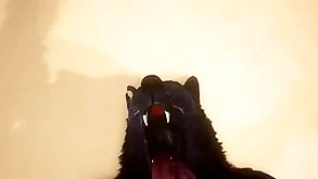 Pov twosome gay wolves shagging - wildlife