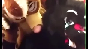 Fursuiters thing embrace nearby pass a motion while bottom moans loudly