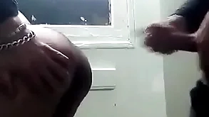 Merry arabe turtle-dove anal